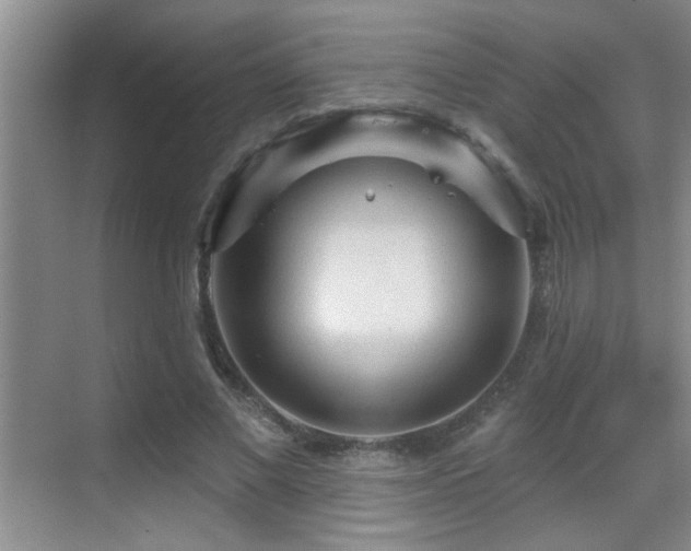 X0000069790685200605191039