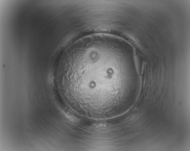 X0000069790687200605191039