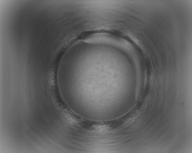 X0000069790689200605191039