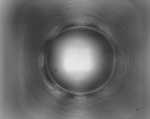 X0000069790694200605191039