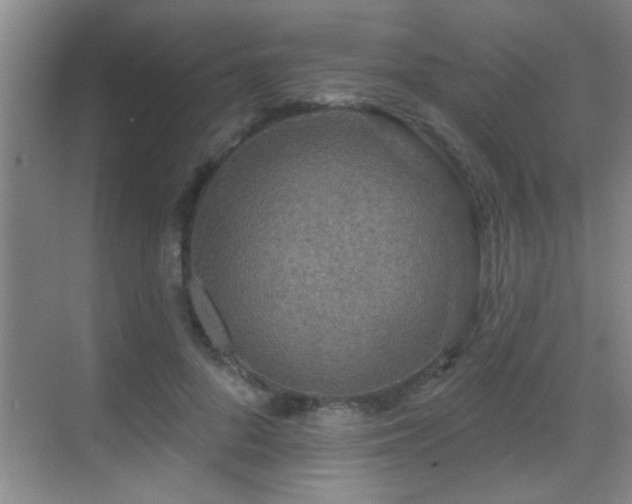 X0000069790696200605191039