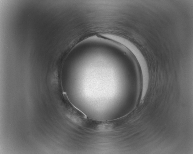 X0000069790700200605191038