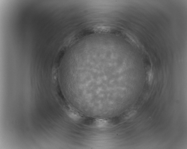 X0000069790701200605191038