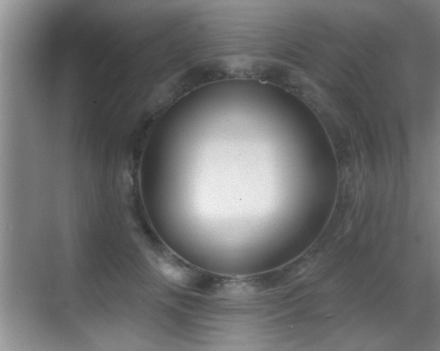 X0000069790702200605191038