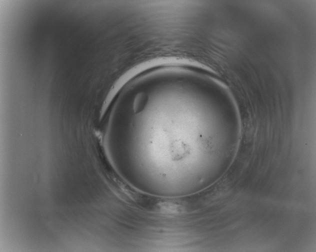 X0000069790703200605191038