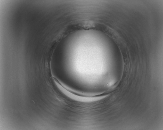 X0000069790704200605191038