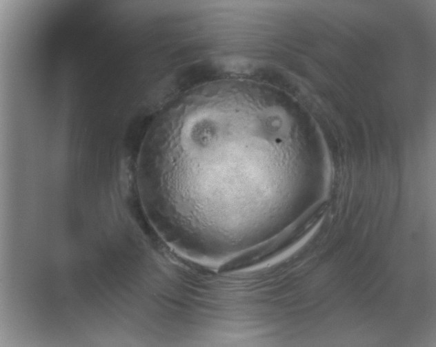 X0000069790707200605191038