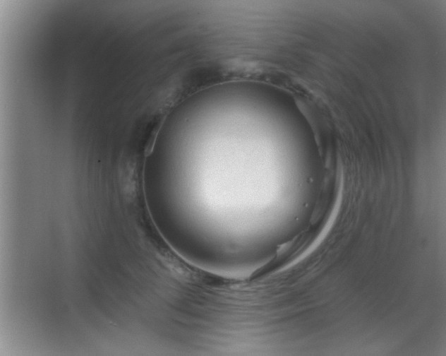 X0000069790708200605191038