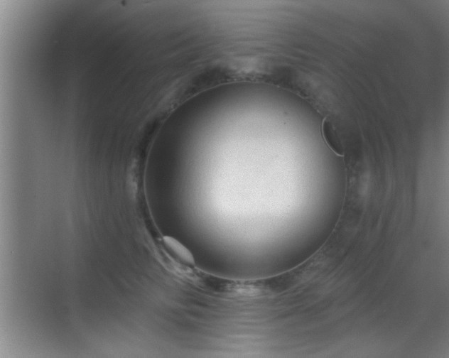 X0000069790710200605191038