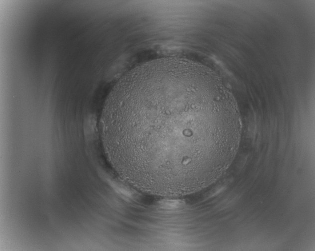 X0000069790711200605191038