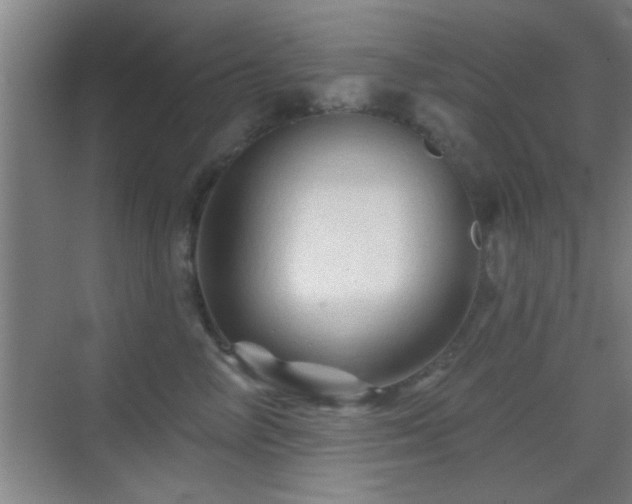 X0000069790714200605191038