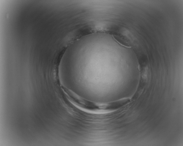 X0000069790715200605191038