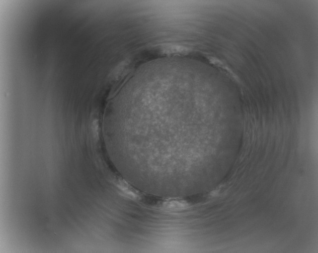 X0000069790716200605191038