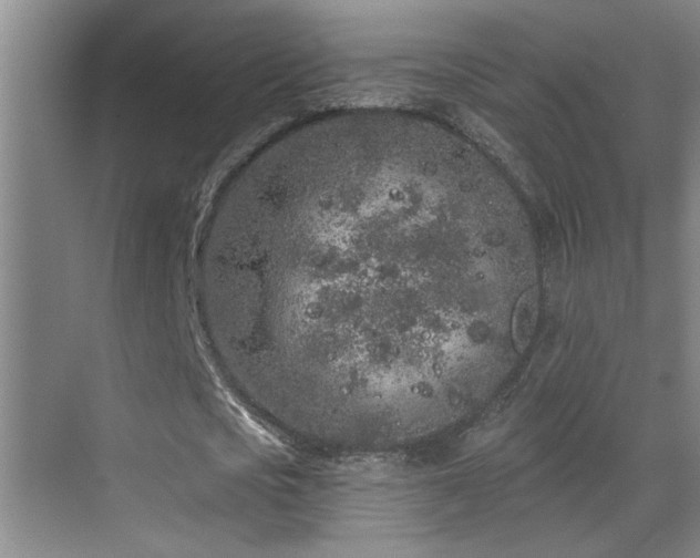 X0000069790721200605191037