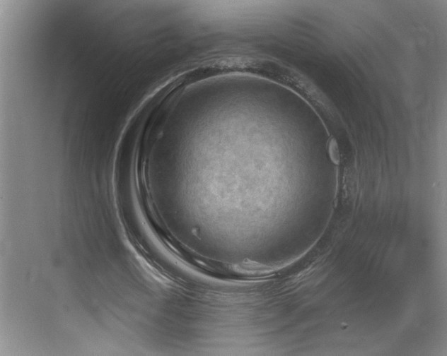 X0000069790722200605191037