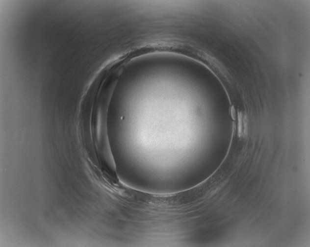 X0000069790723200605191037