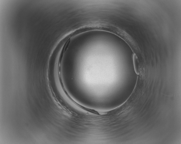 X0000069790724200605191037