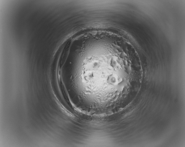 X0000069790725200605191037