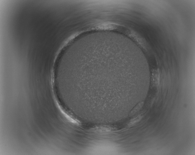 X0000069790726200605191037