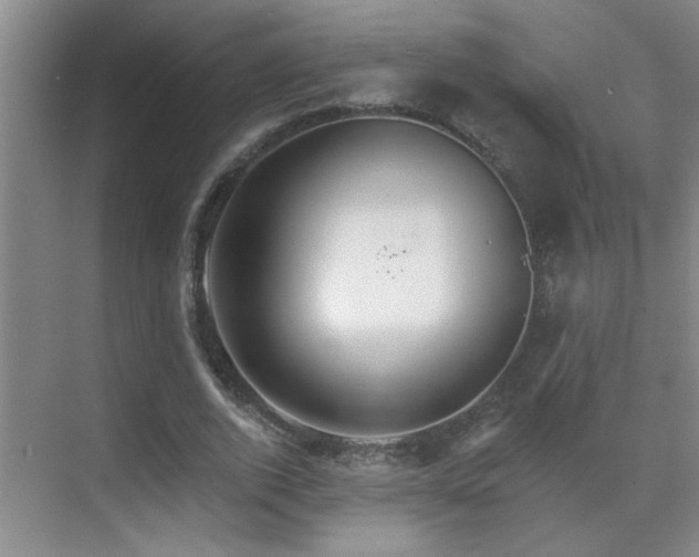 X0000069790728200605191037