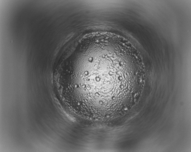 X0000069790729200605191037