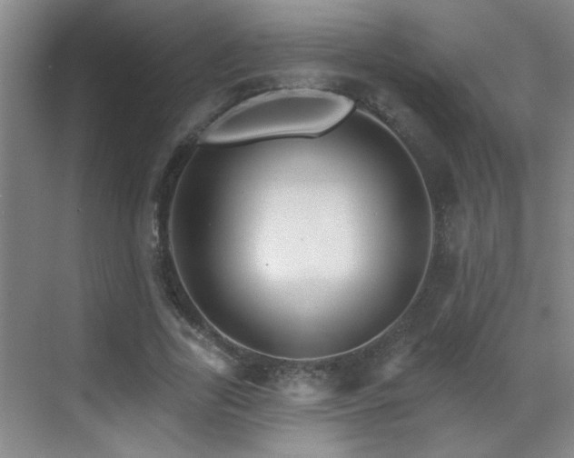 X0000069790731200605191038