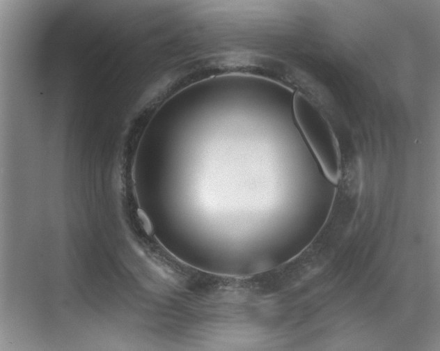 X0000069790732200605191038