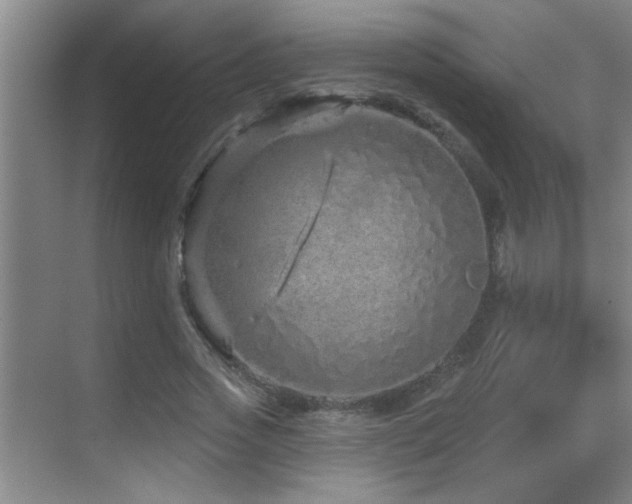 X0000069790733200605191038