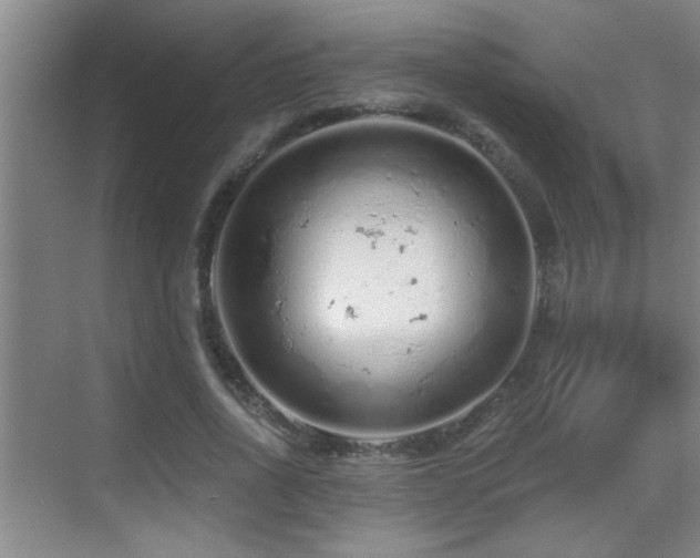 X0000069790734200605191038