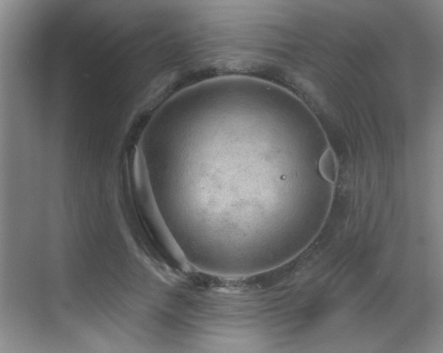 X0000069790738200605191038