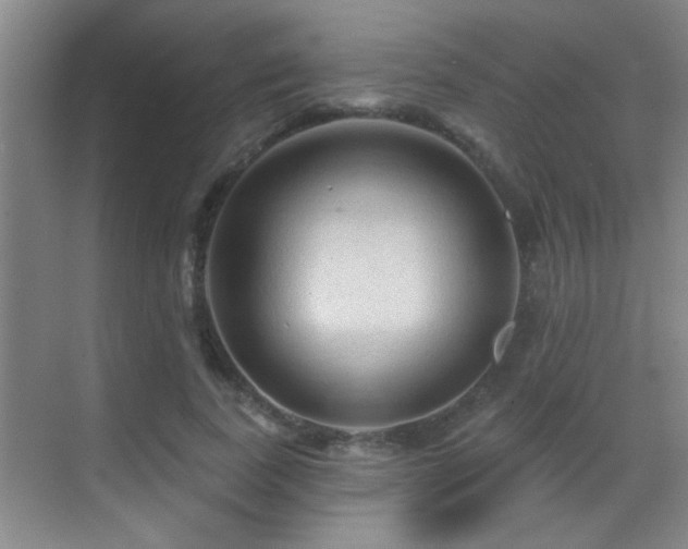 X0000069790739200605191038