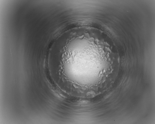 X0000069790741200605191038