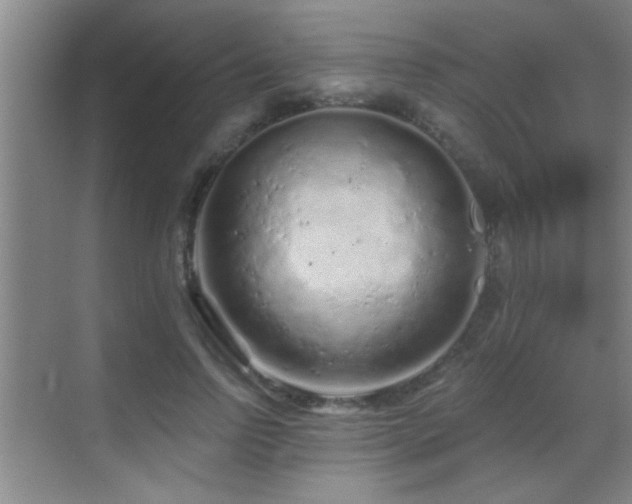 X0000069790742200605191038