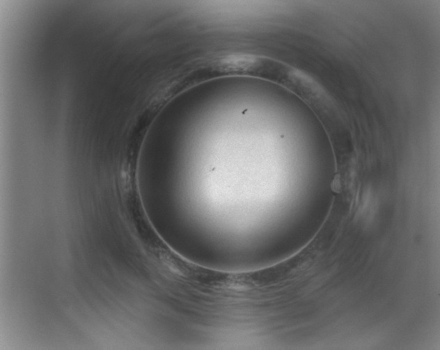 X0000069790743200605191038