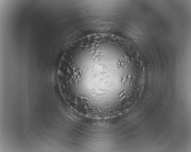 X0000069790745200605191038