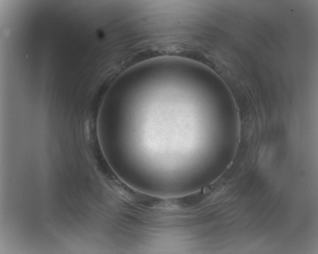 X0000069790747200605191038