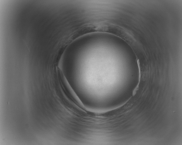 X0000069790748200605191038