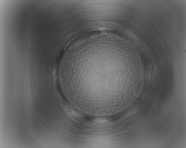 X0000069790749200605191038