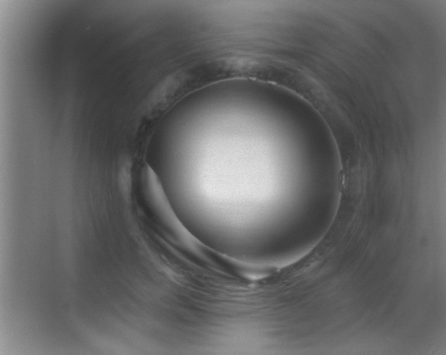 X0000069790750200605191038