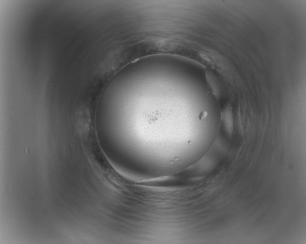 X0000069790752200605191038