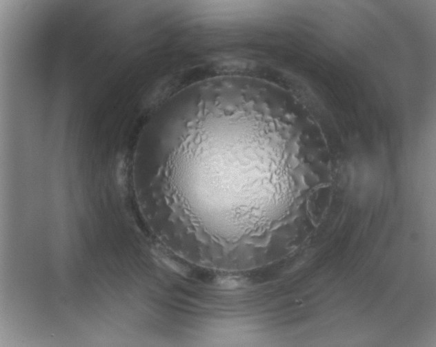 X0000069790753200605191038