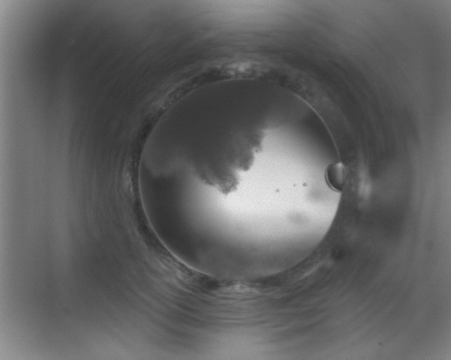 X0000069790754200605191038