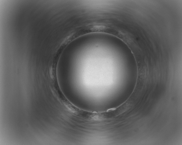 X0000069790755200605191038