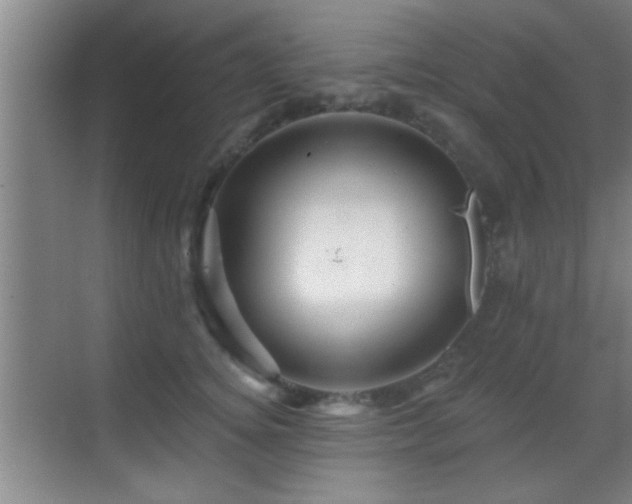 X0000069790756200605191038