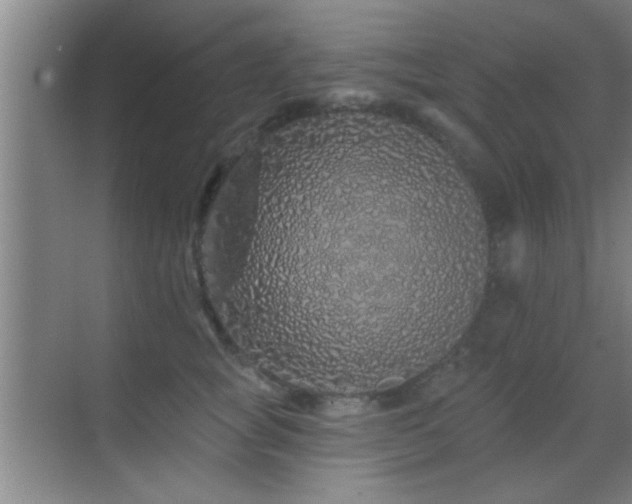 X0000069790757200605191038