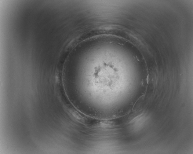 X0000069790758200605191038