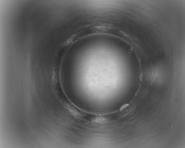 X0000069790759200605191038