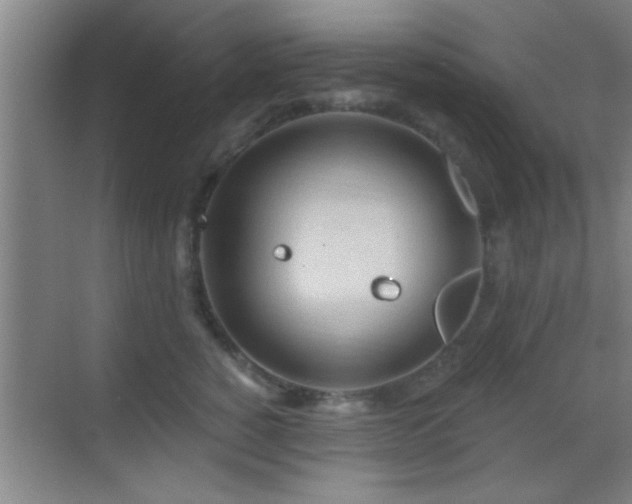 X0000069790760200605191038