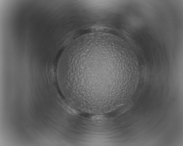 X0000069790761200605191038