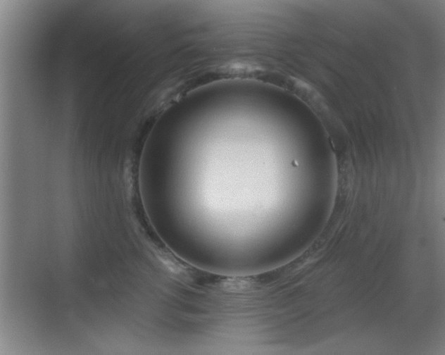 X0000069790762200605191038